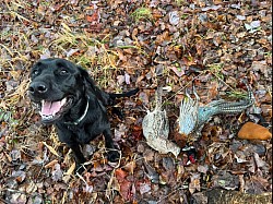 Lilly’s first limit