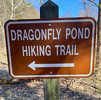 Short hike on Dragonfly.