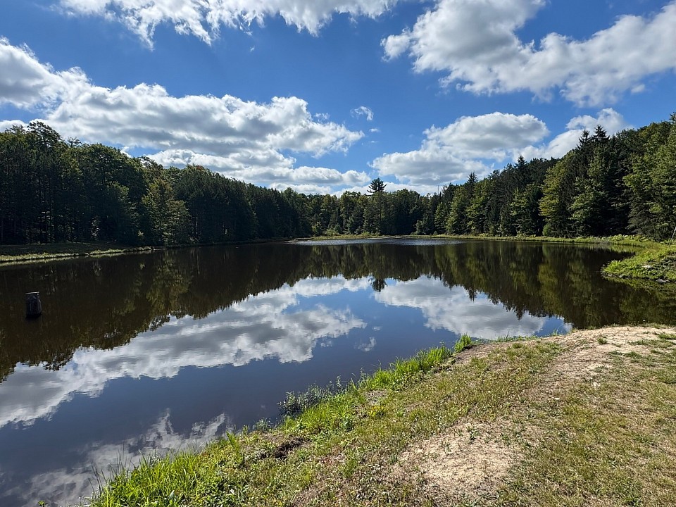 S.B Elliott state park